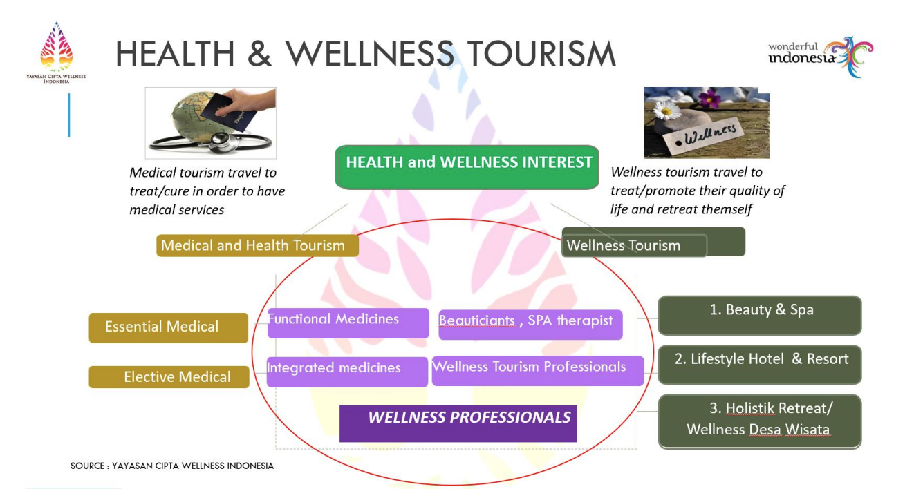 Overlaps Wellness tourism dan Medical Tourism
